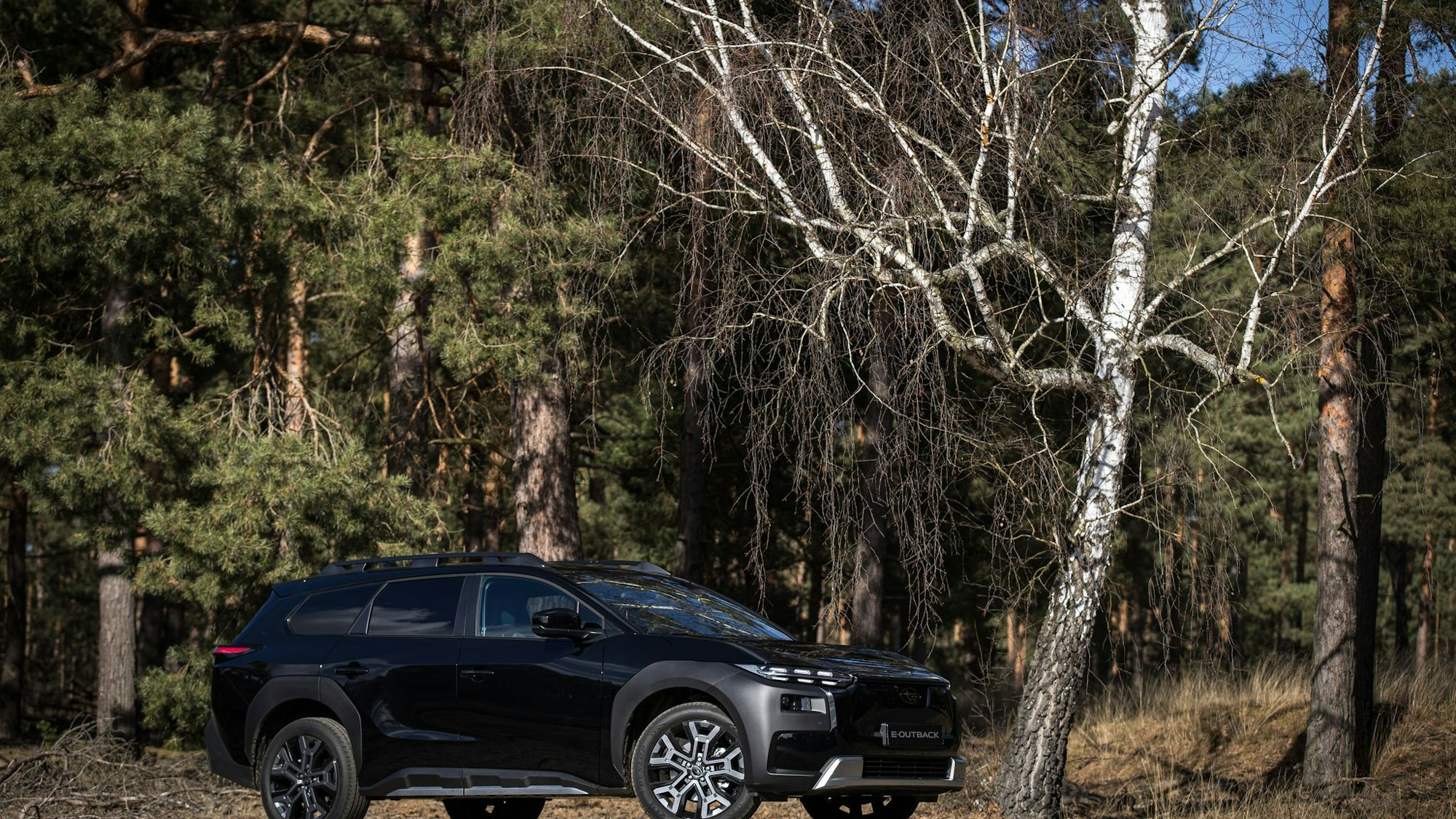 Ein Subaru E-Outback auf einer Straße vor einem Wald