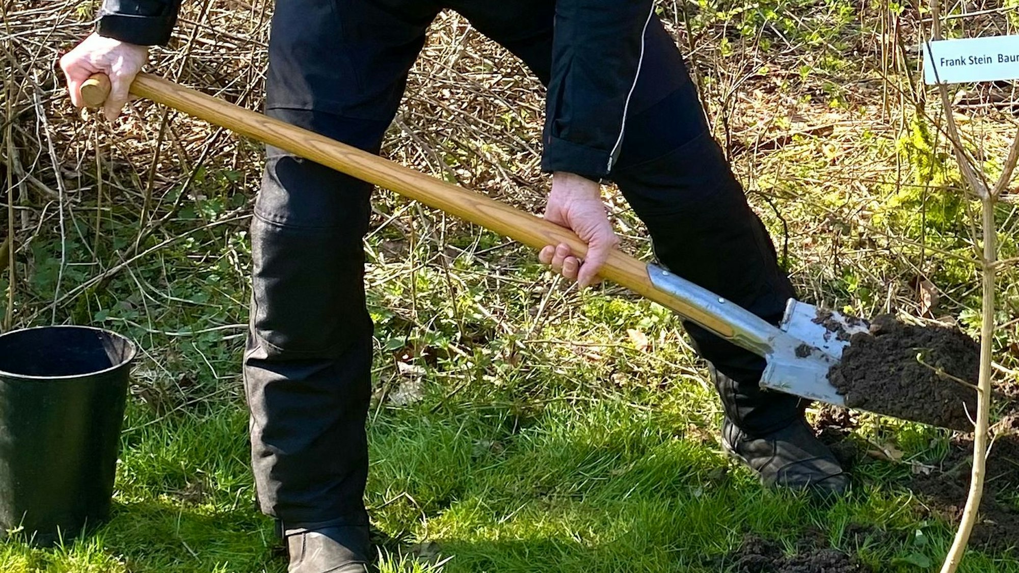 Ein Mann hebt mit dem Spaten Erde für ein junges Bäumchen aus.