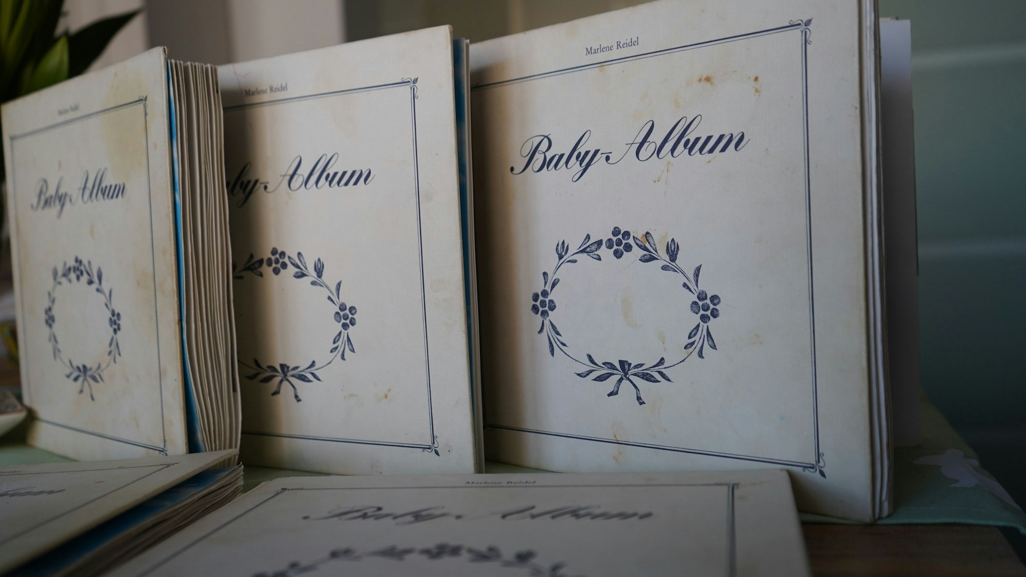 Das Bild zeigt die fünf Alben.