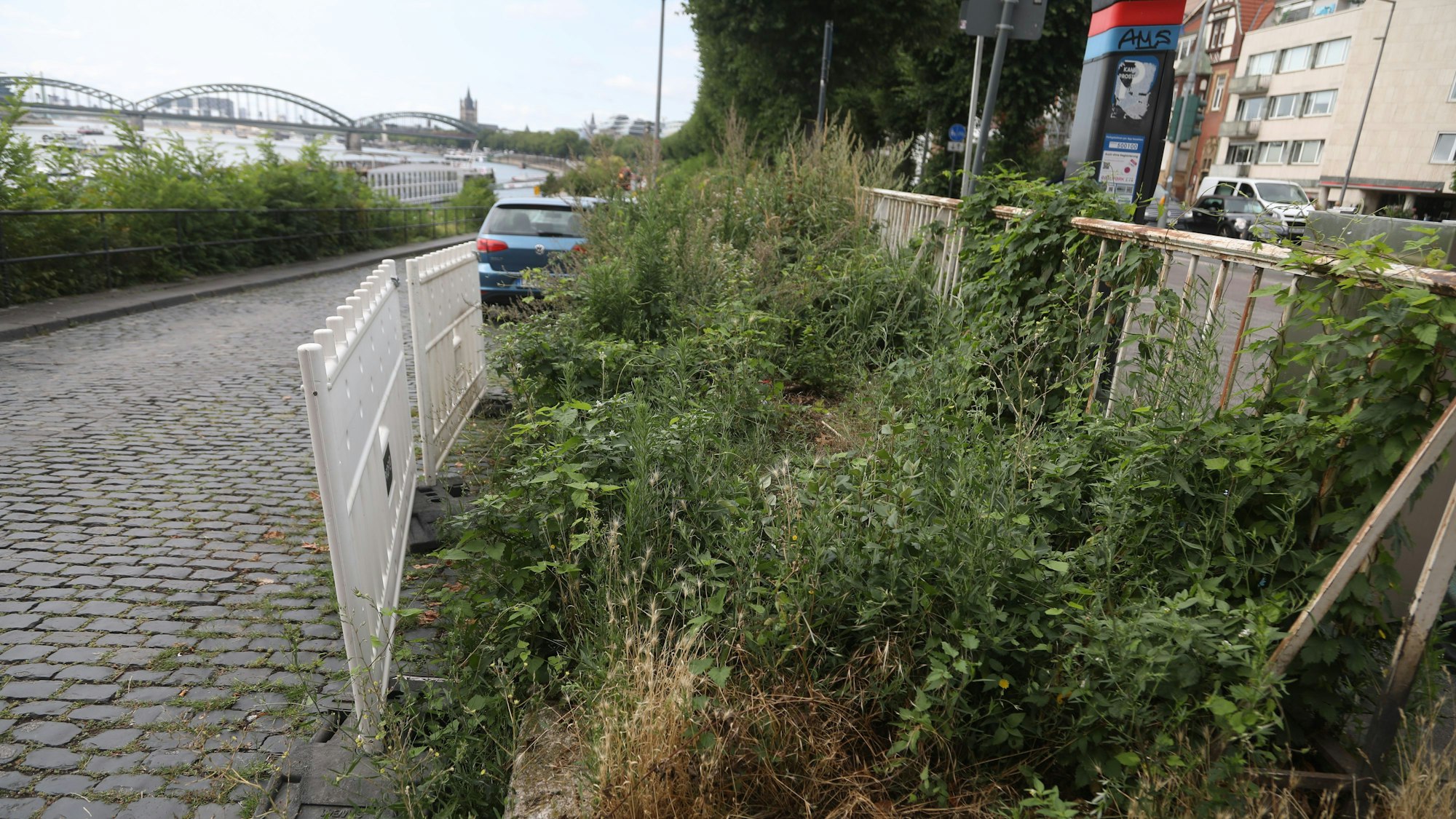 Ein Blumenbeet an der Rampe von der Bastei soll der Grund sein, warum Busse nicht vorbeikommen können.