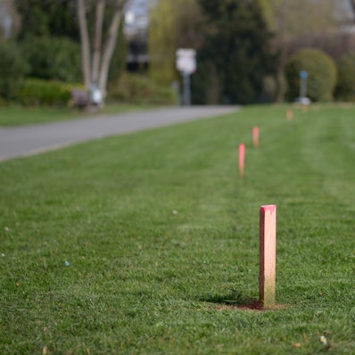 Rot angestrichene Holzpflöcke stehen in einer Reihe parallel zum Weg.