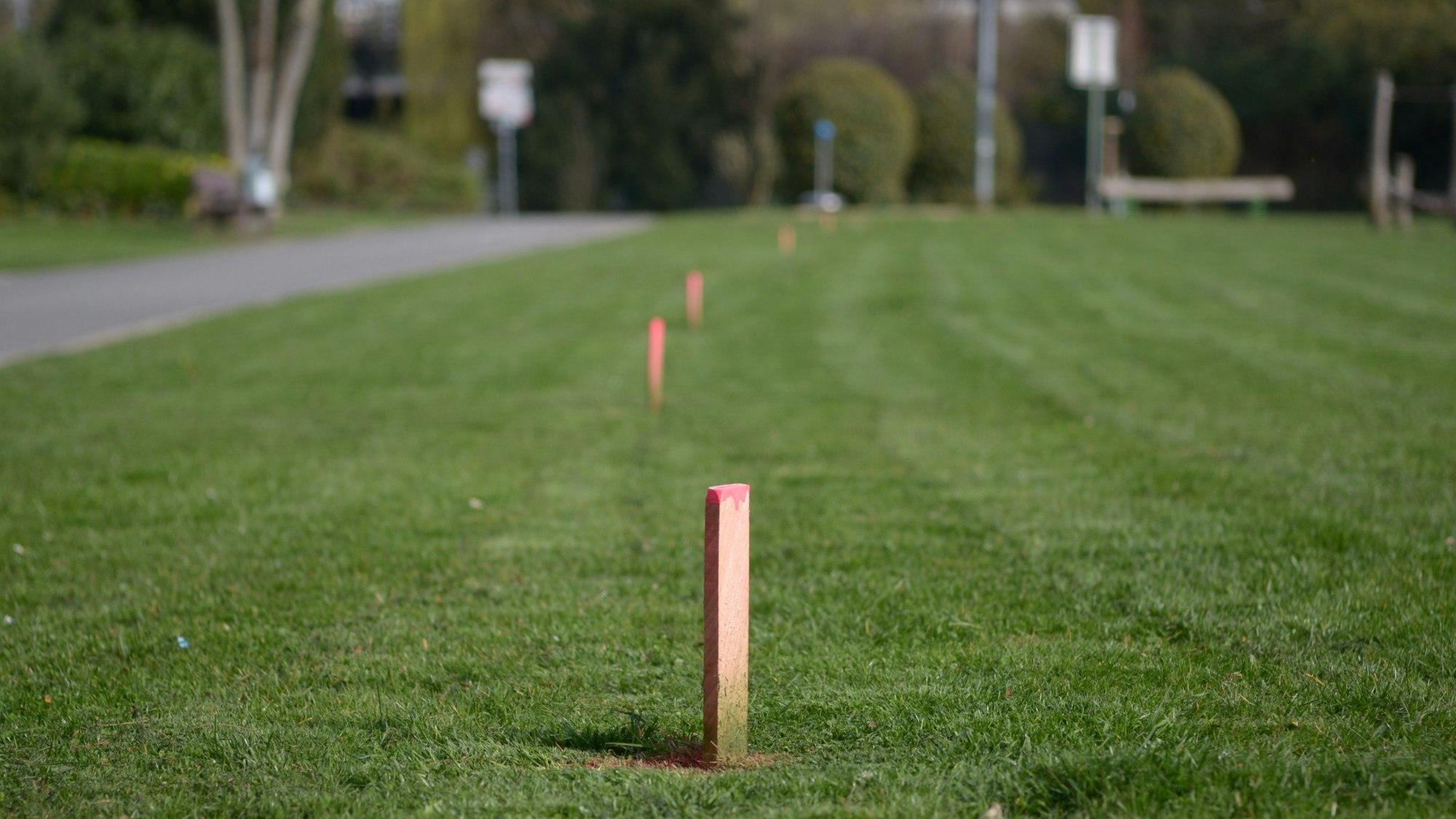 Rot angestrichene Holzpflöcke stehen in einer Reihe parallel zum Weg.