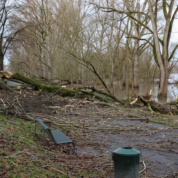 Der Deutsche Wetterdienst warnt vor einem Sturm am Mittwoch.
