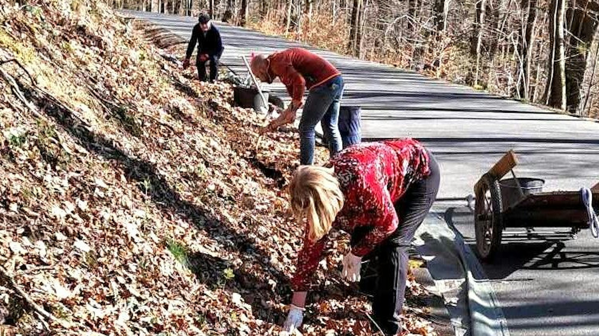 Die Amphibiengruppe beim Zaunbau, von links Elisabeth, Uwe Mertes-Mücke und Karsten Meißner.