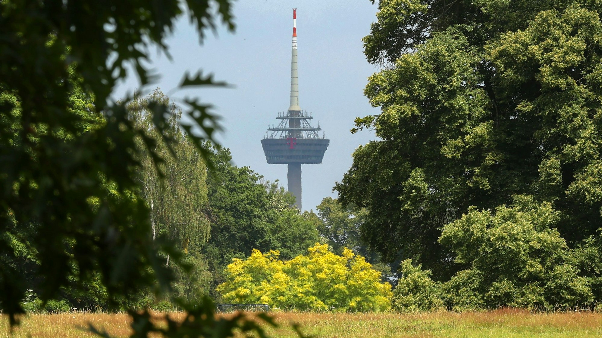 13.07.2025
Köln
Blick auf Colonius mit vielen Bäumen vom äußeren Grüngürtel aus
Foto: Martina Goyert
mgoyert@web.de