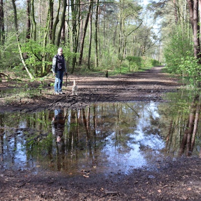 Horst Brochhagen setzt sich seit Jahren für eine Sanierung des Waldwegs ein. (Archivbild)