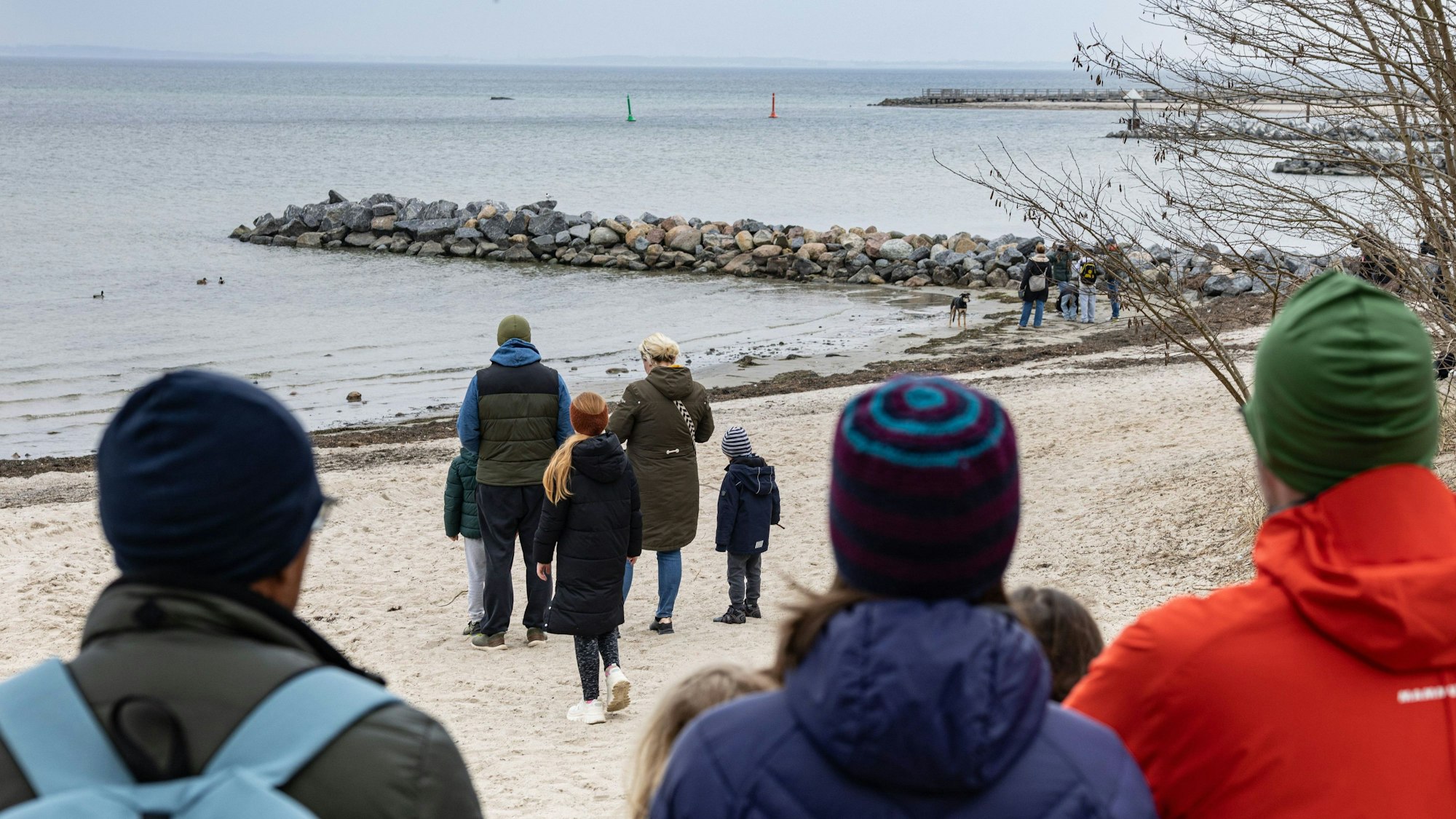 Article: Untitled - Canvas