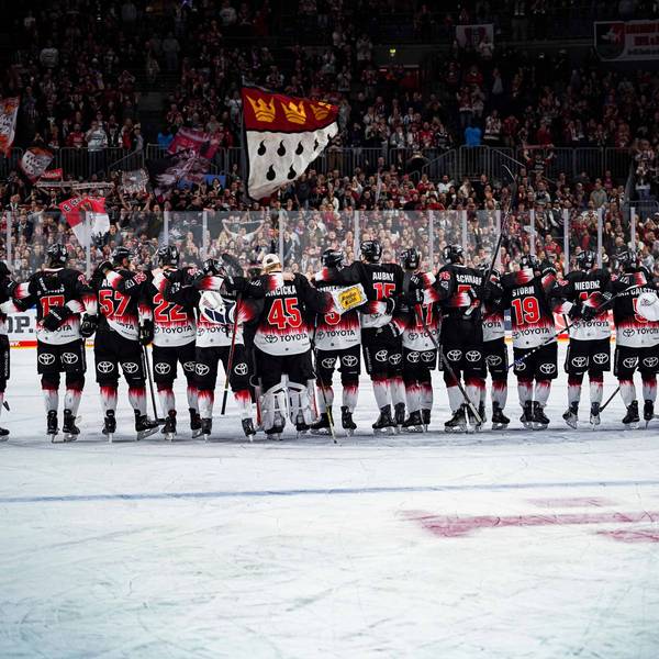 Im Schnitt mehr als 18.000 Fans kommen zu den Heimspielen der Kölner Haie.