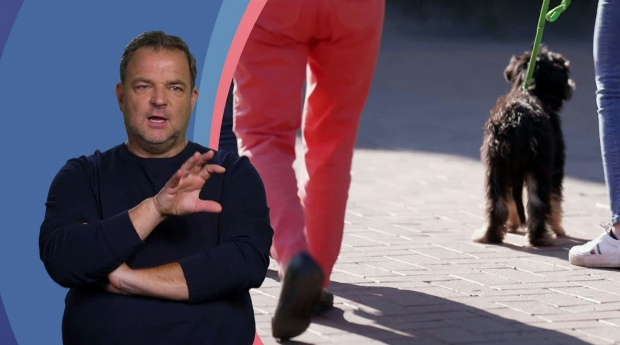 Welpe Nika hat beim Spaziergang in der Stadt noch große Probleme - ein Anblick, der Martin Rütter Sorgen bereitet. (Bild: RTL)