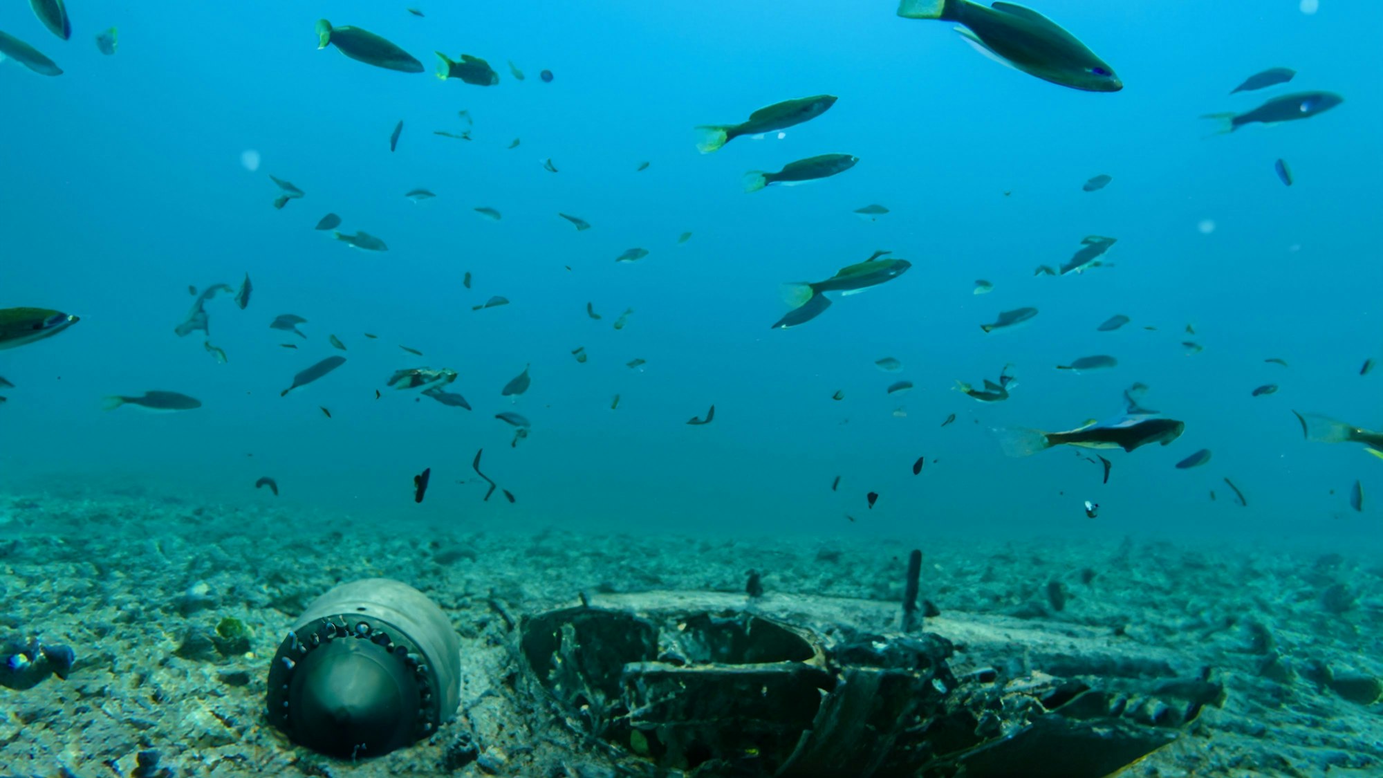 Das Wrack eines U-Bootes liegt am Meeresgrund. (Symbolbild)