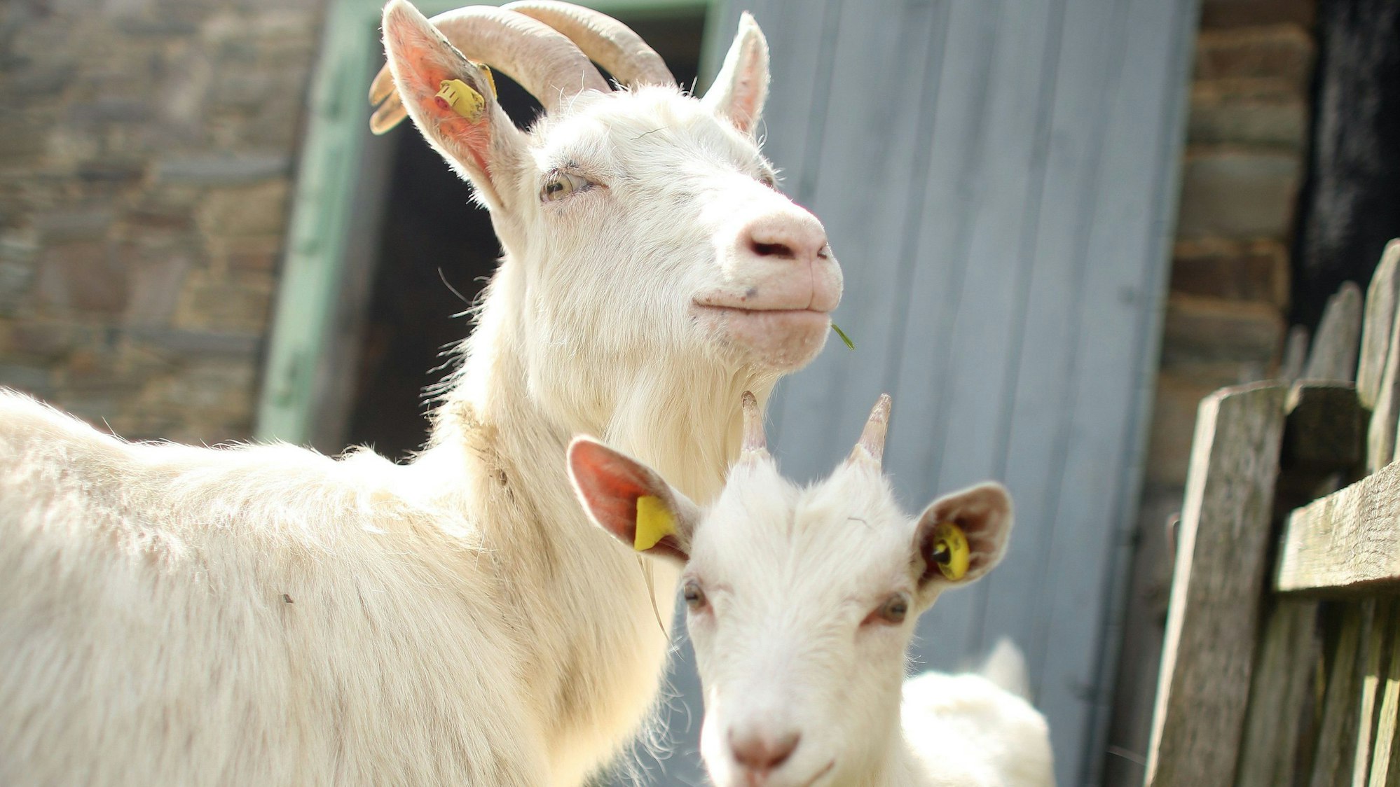 Freilichtmuseum in Lindlar (Archivbild)