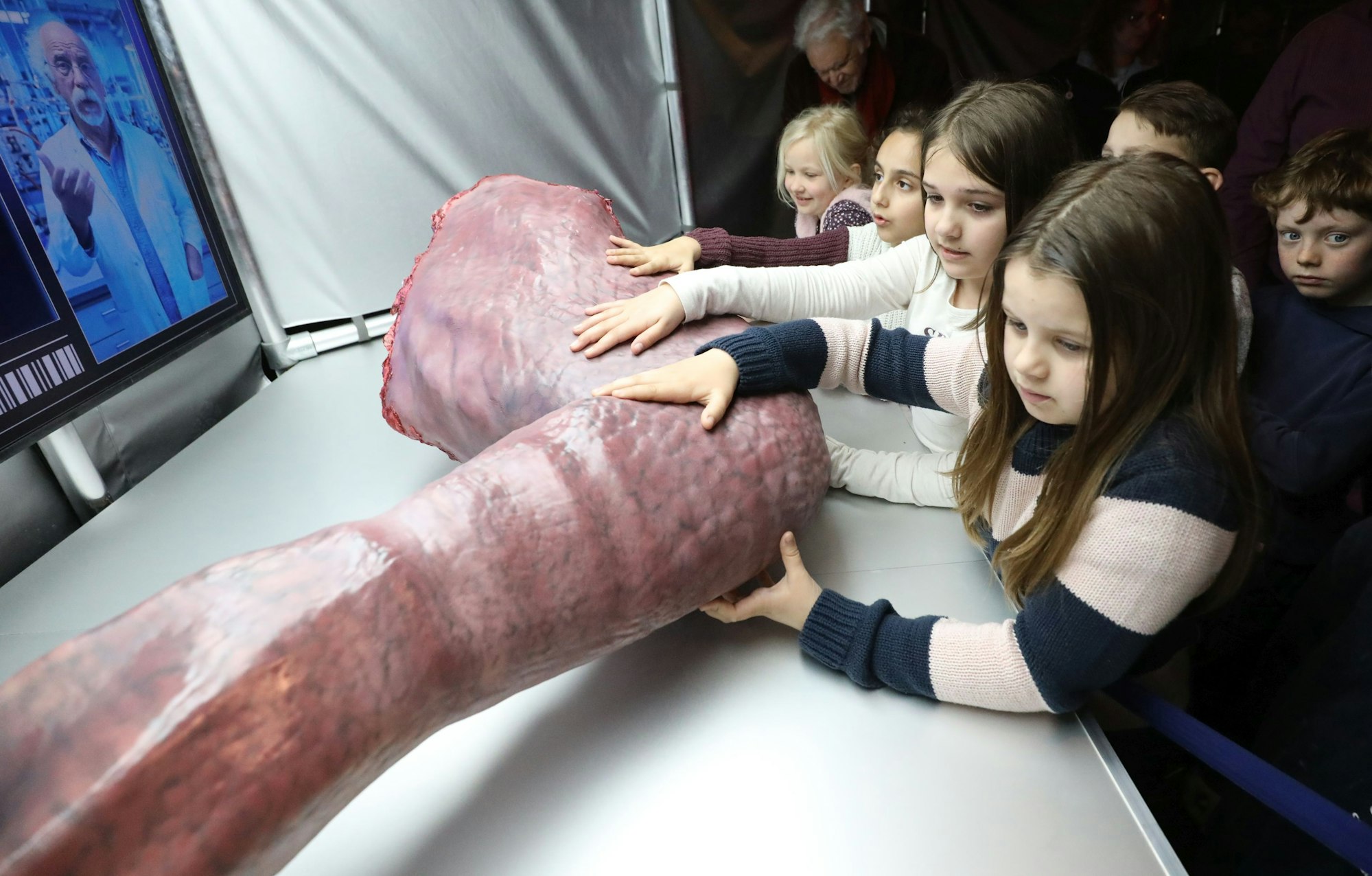 Kinder mit der Nachbildung eines Dinosaurierarms.