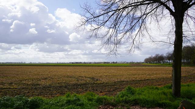 Das Foto zeigt ein Feld.
