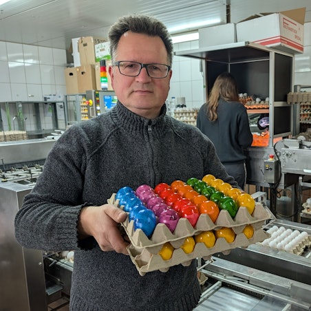 Das Foto zeigt Martin Füngeling mit zwei Lagen gefärbter Eier im Produktionsbereich des Eierhofs.