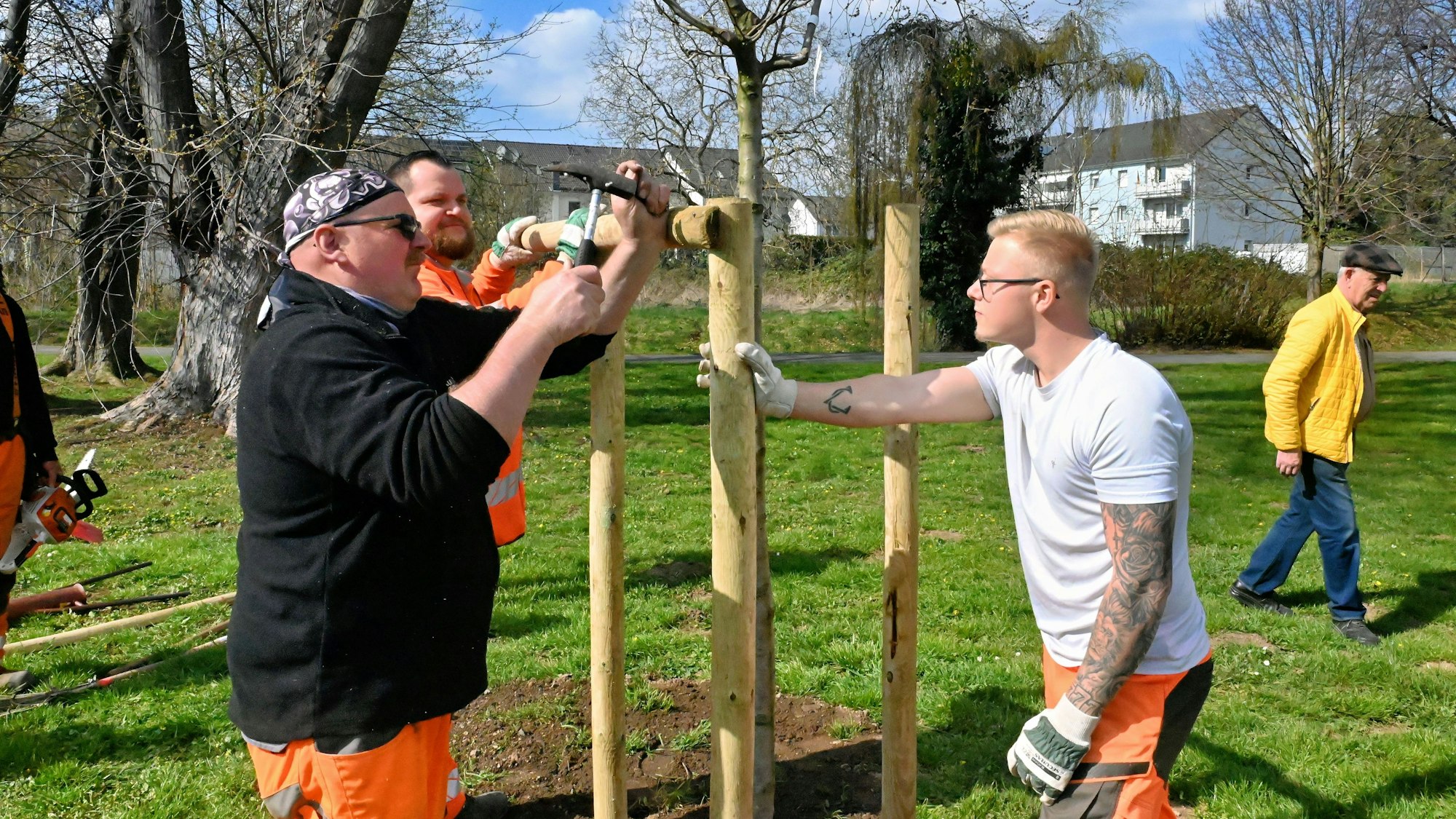 Drei Männer bauen aus drei Holzpfählen ein Gerüst für einen der neuen Bäume.