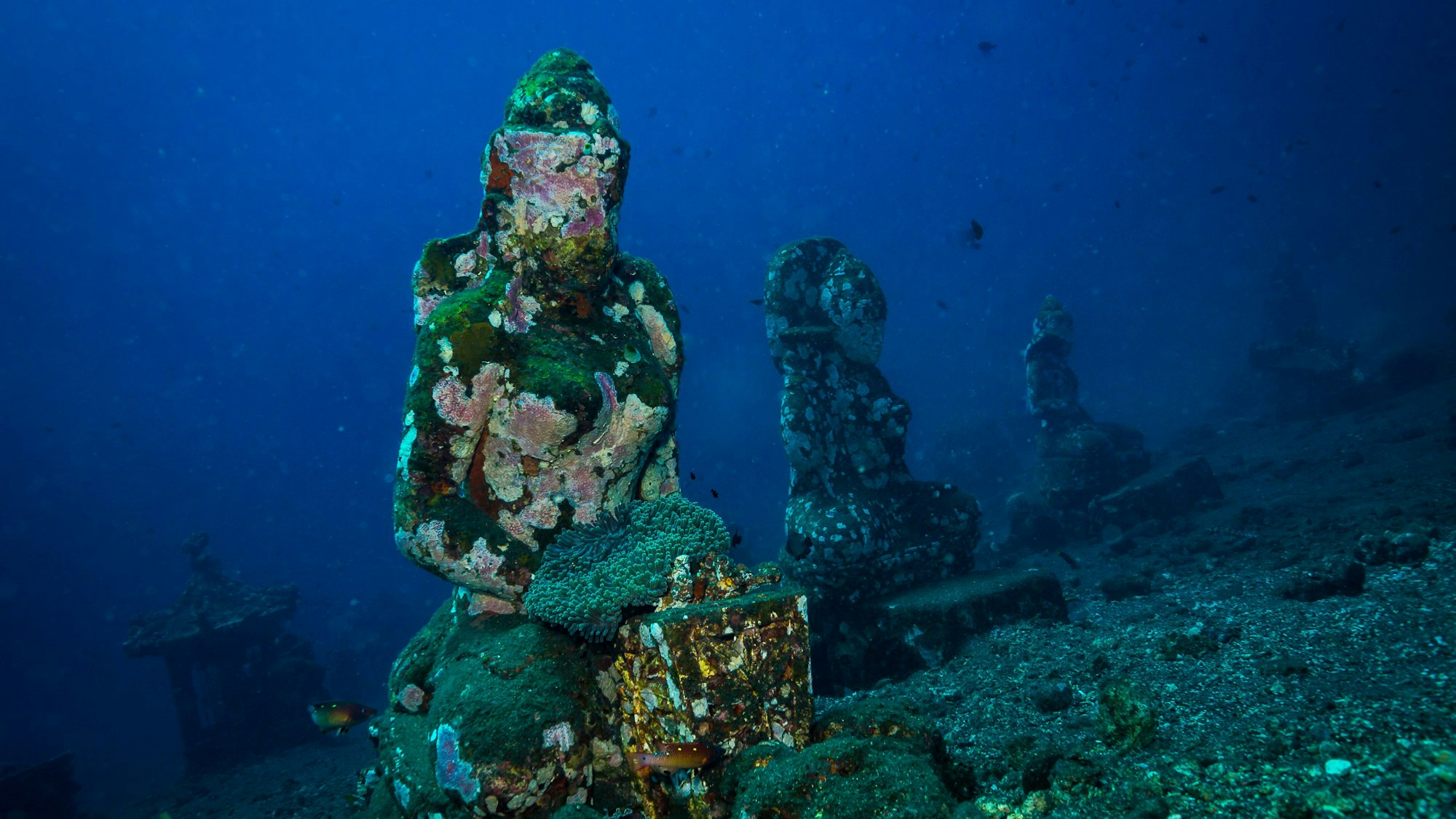 Unterwasserskulpturen.