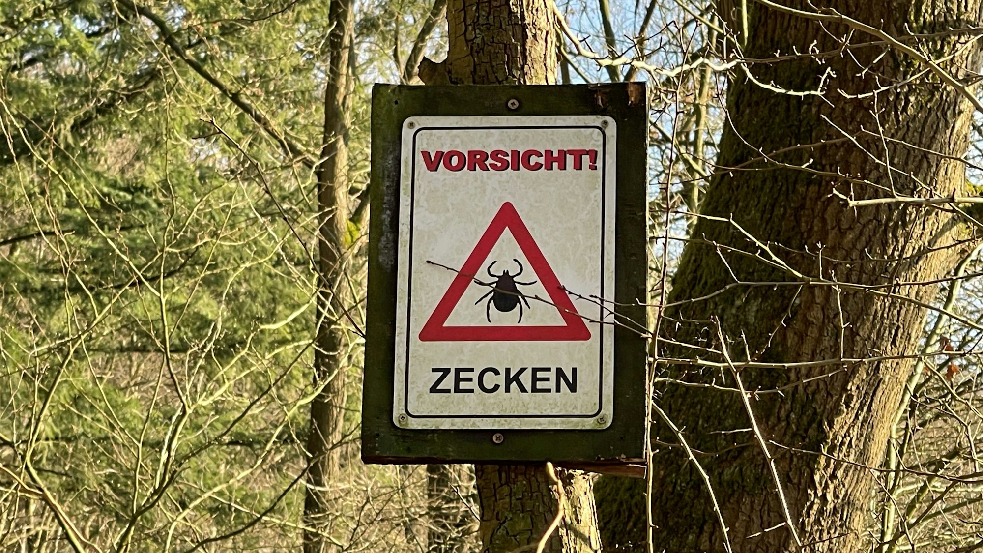 Im Wald in Hennef ist ein Warnhinweis auf Zecken aufgestellt worden.