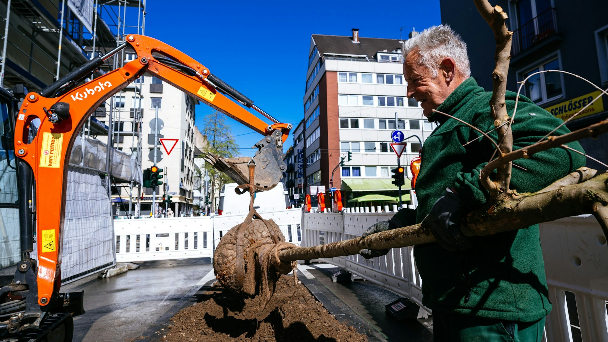 Baumpflanzung auf der Brüsseler Straße
