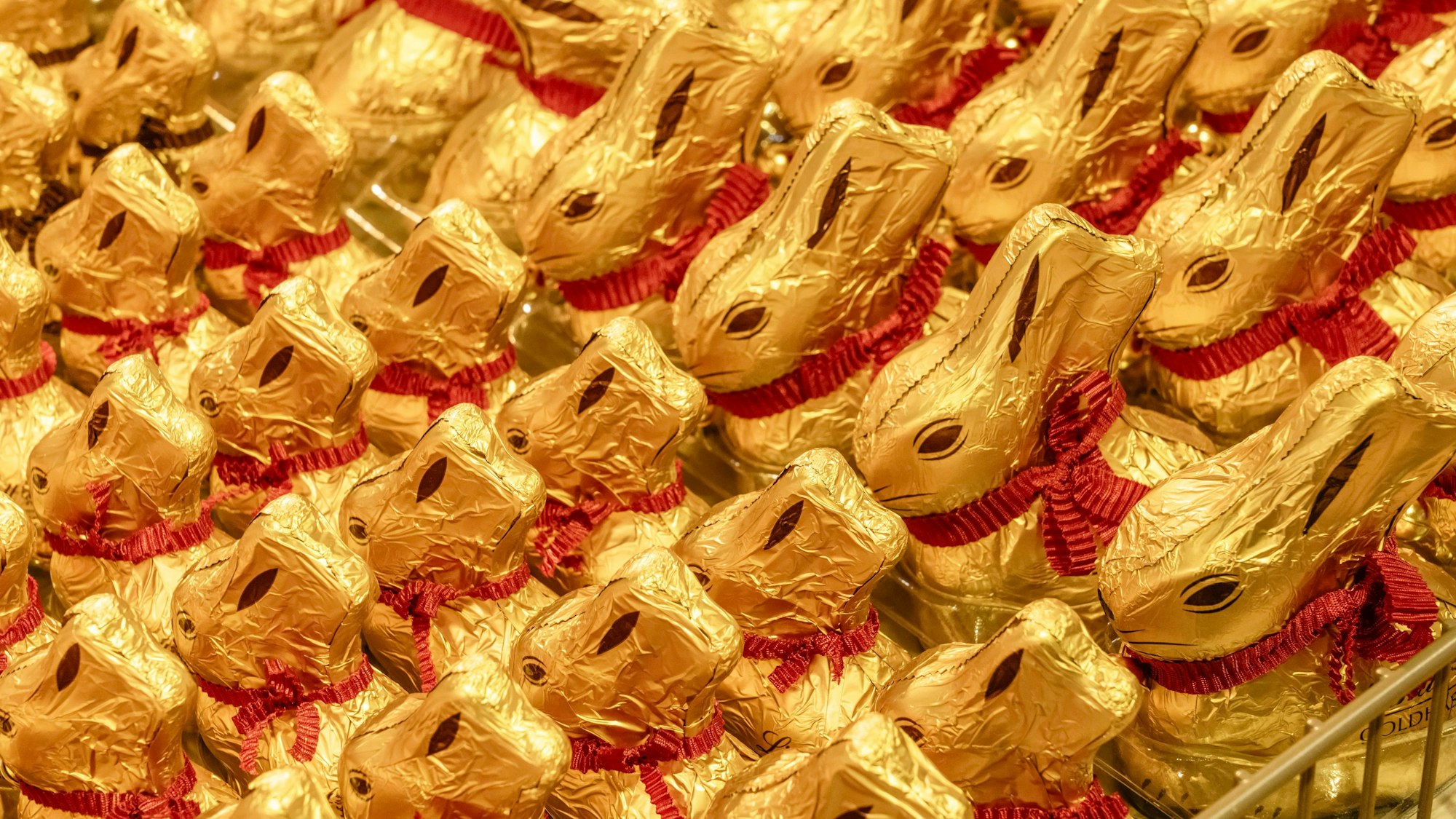 Lindt Goldhasen, München, März 2026 Deutschland, München, März 2026, Lindt Goldhasen mit roter Schleife, Schoko-Osterhasen dekorativ aufgereiht, Lindt Goldhasen gibt es seit 1952, Süßigkeiten, Süßwaren, Saisonartikel, Osterartikel, Symbolfoto Ostern, *** Lindt Gold Bunny, Munich, March 2026 Germany, Munich, March 2026, Lindt Gold Bunny with red ribbon, chocolate Easter bunny decoratively lined up, Lindt Gold Bunny has been around since 1952, sweets, confectionery, seasonal articles, Easter articles, symbolic photo Easter,