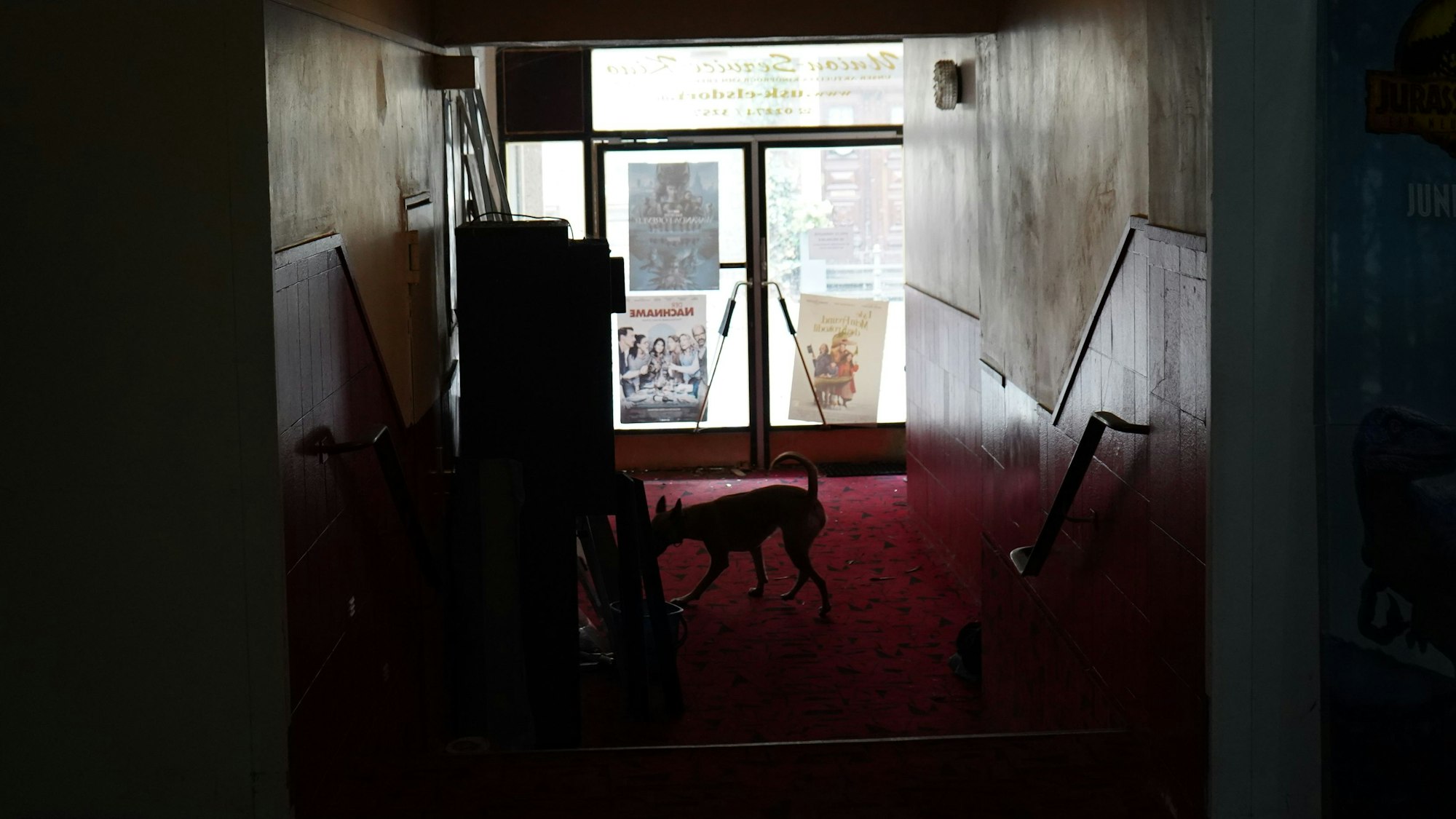 Das Bild zeigt die Silhouette des Hundes vor dem Eingang zum Kino.