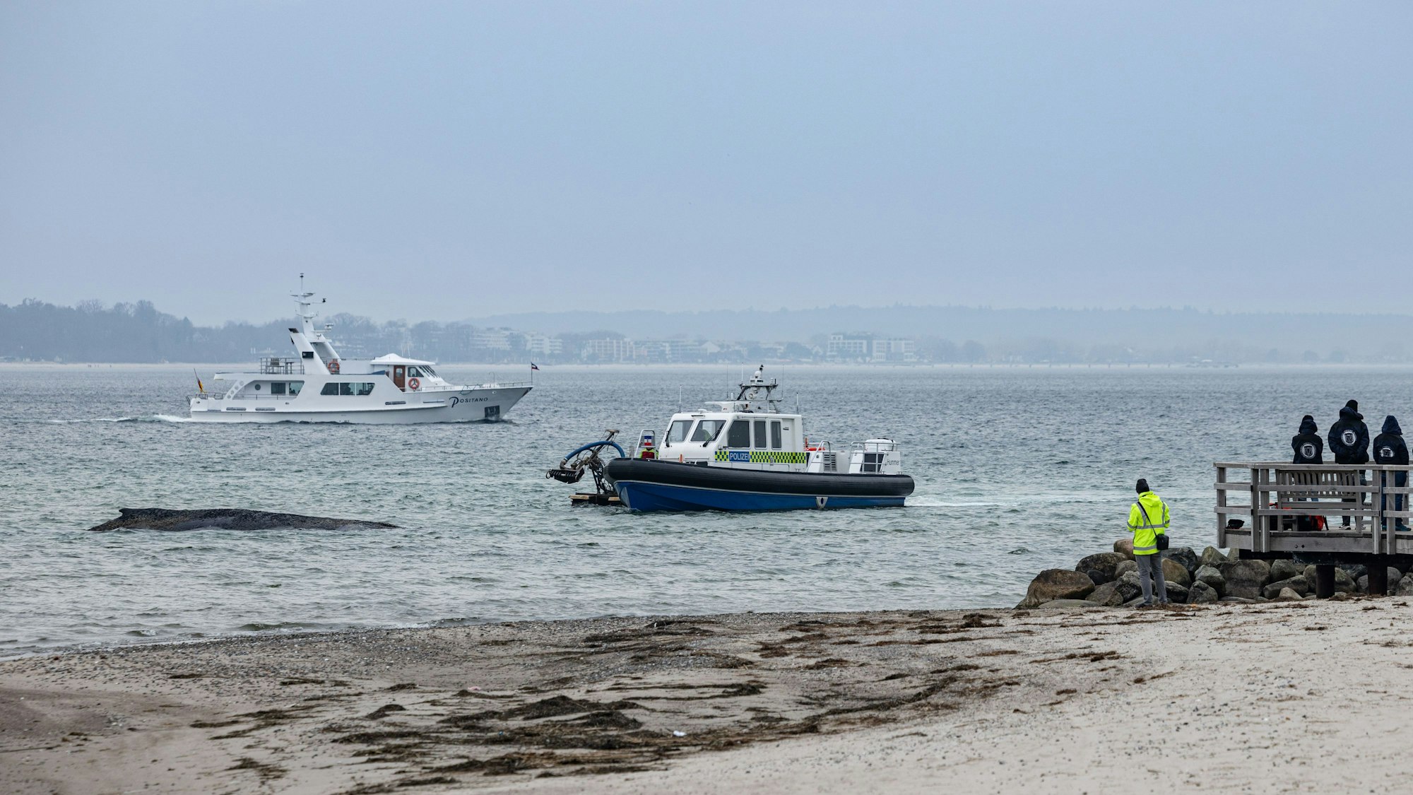 Auch ein Saugbagger kam bei der Rettung des Buckelwals am Timmendorfer Strand zum Einsatz.