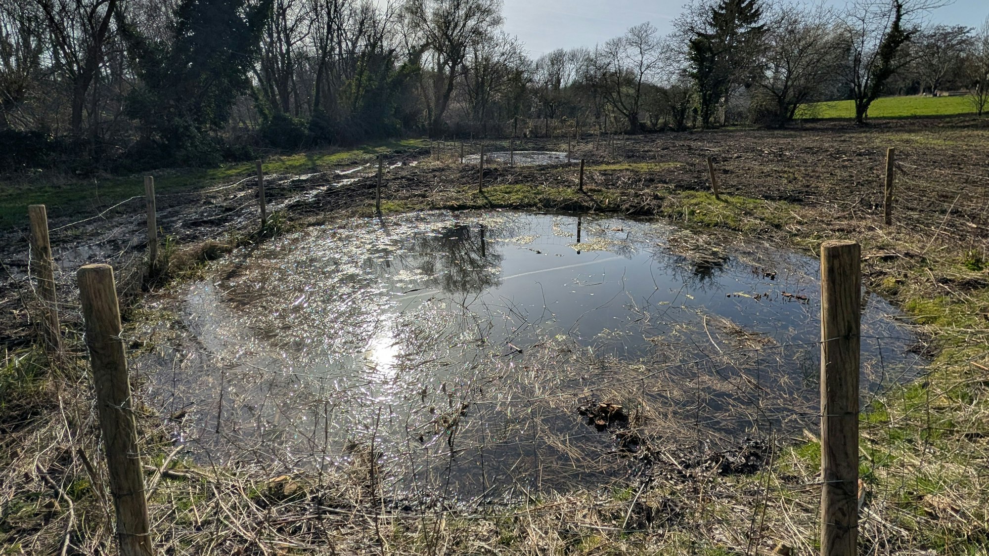 Das Bild zeigt die Fischteiche.