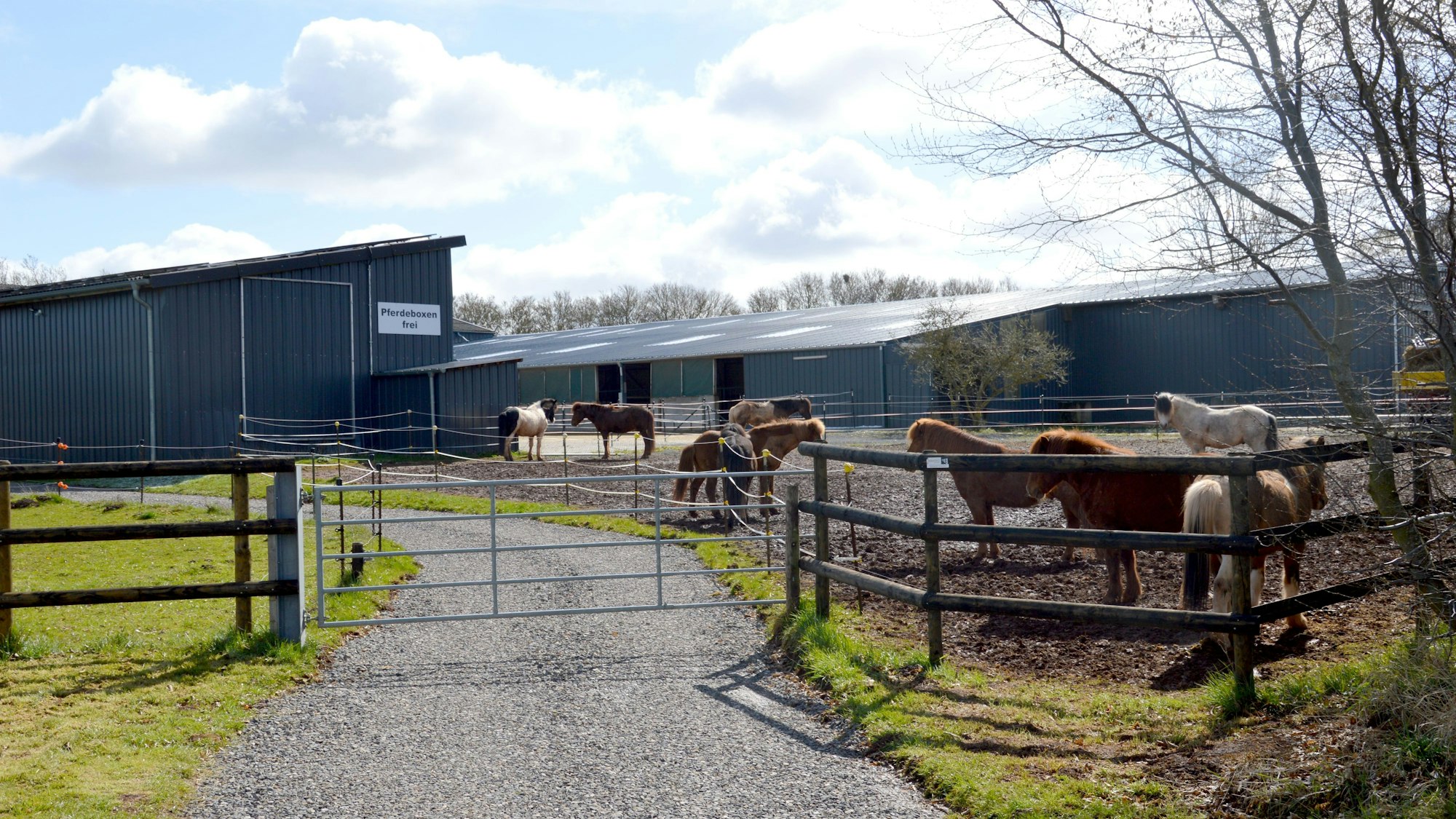 Blick auf den Hof und einige Pferde.