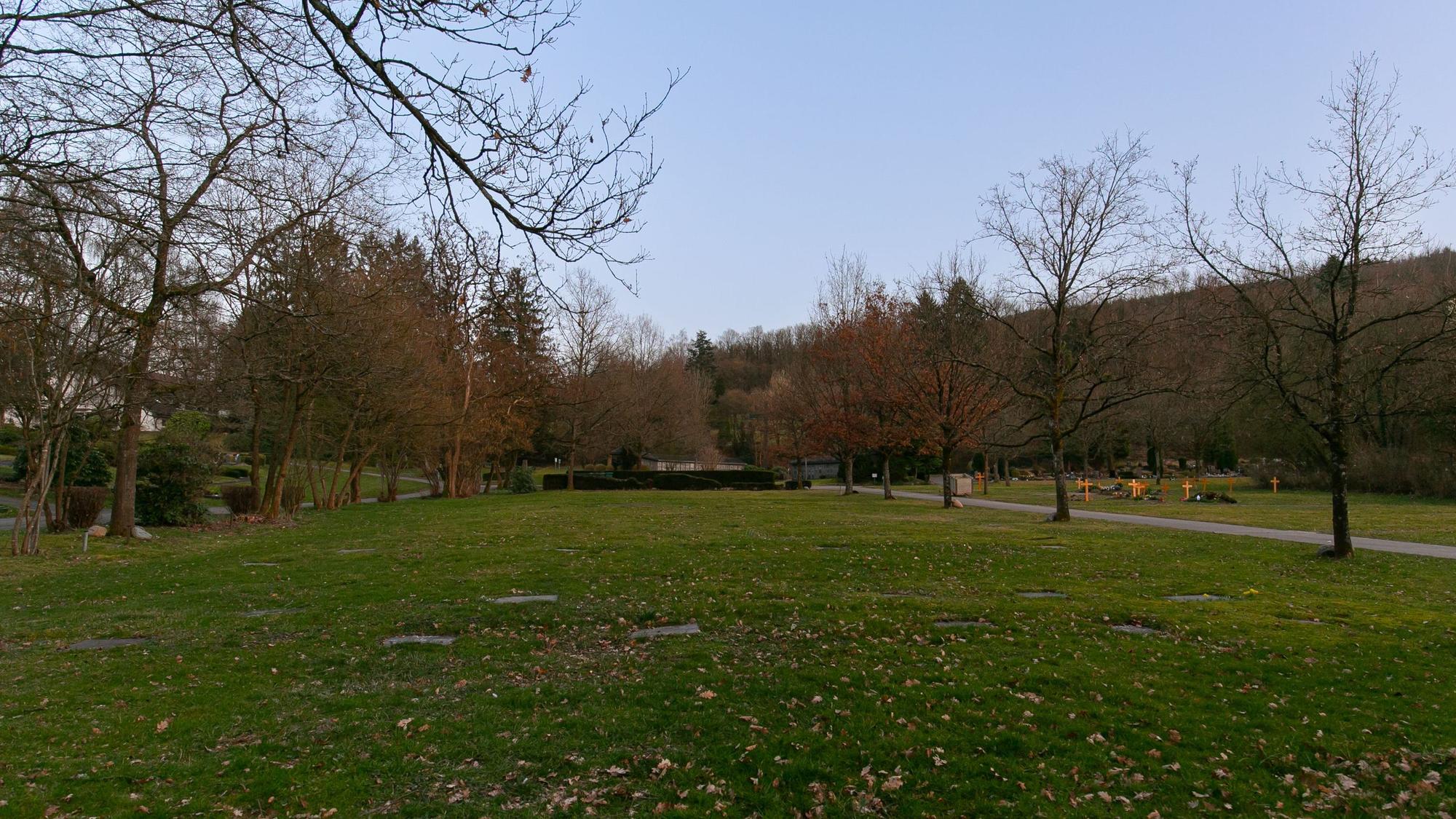 Rasenfeld auf dem Friedhof Bergneustadt;17266