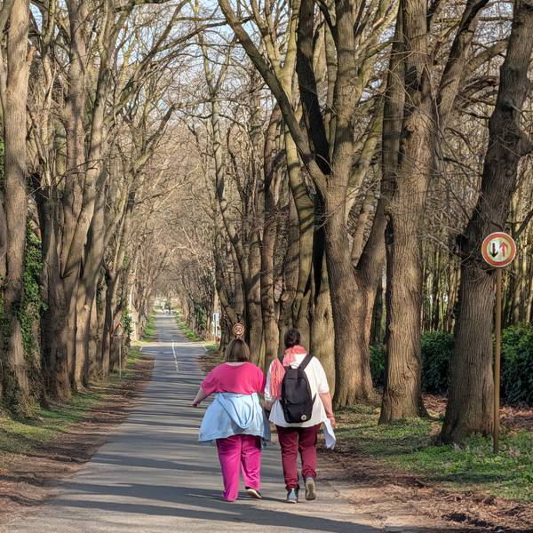 Zwei Menschen gehen eine Allee entlang.