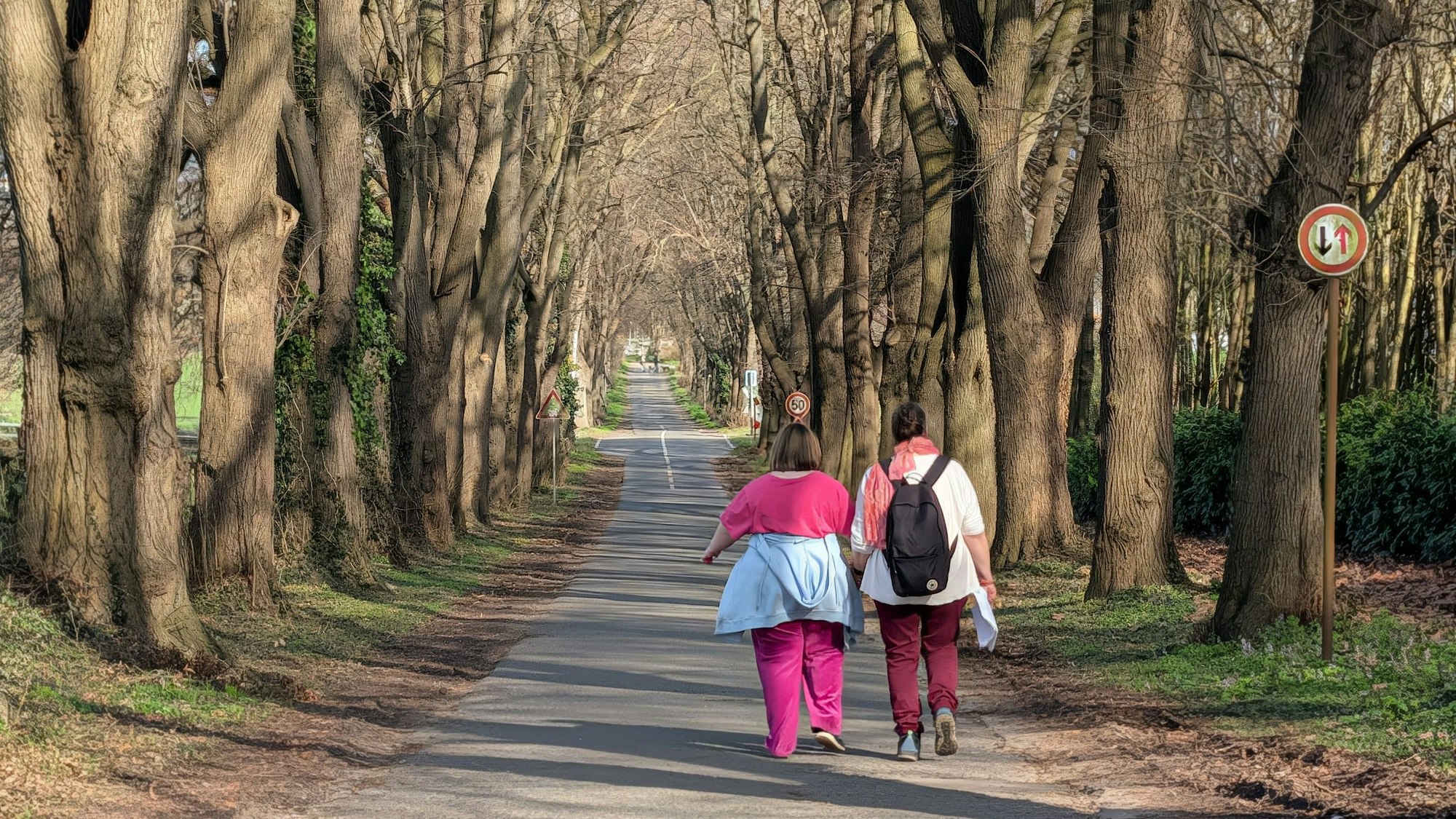 Das Bild zeigt die Allee Vochemer Straße.