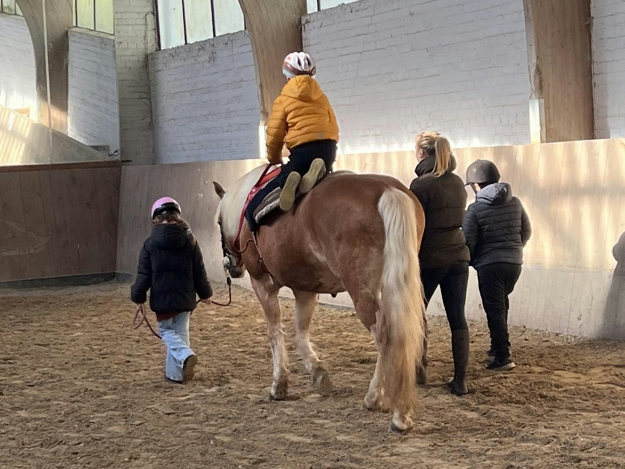 Zu sehen sind Kinder, eine Frau und ein Pferd in einer Reithalle.