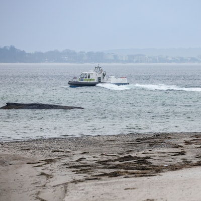 Auch ein Saugbagger kam bei der Rettung des Buckelwals am Timmendorfer Strand zum Einsatz.