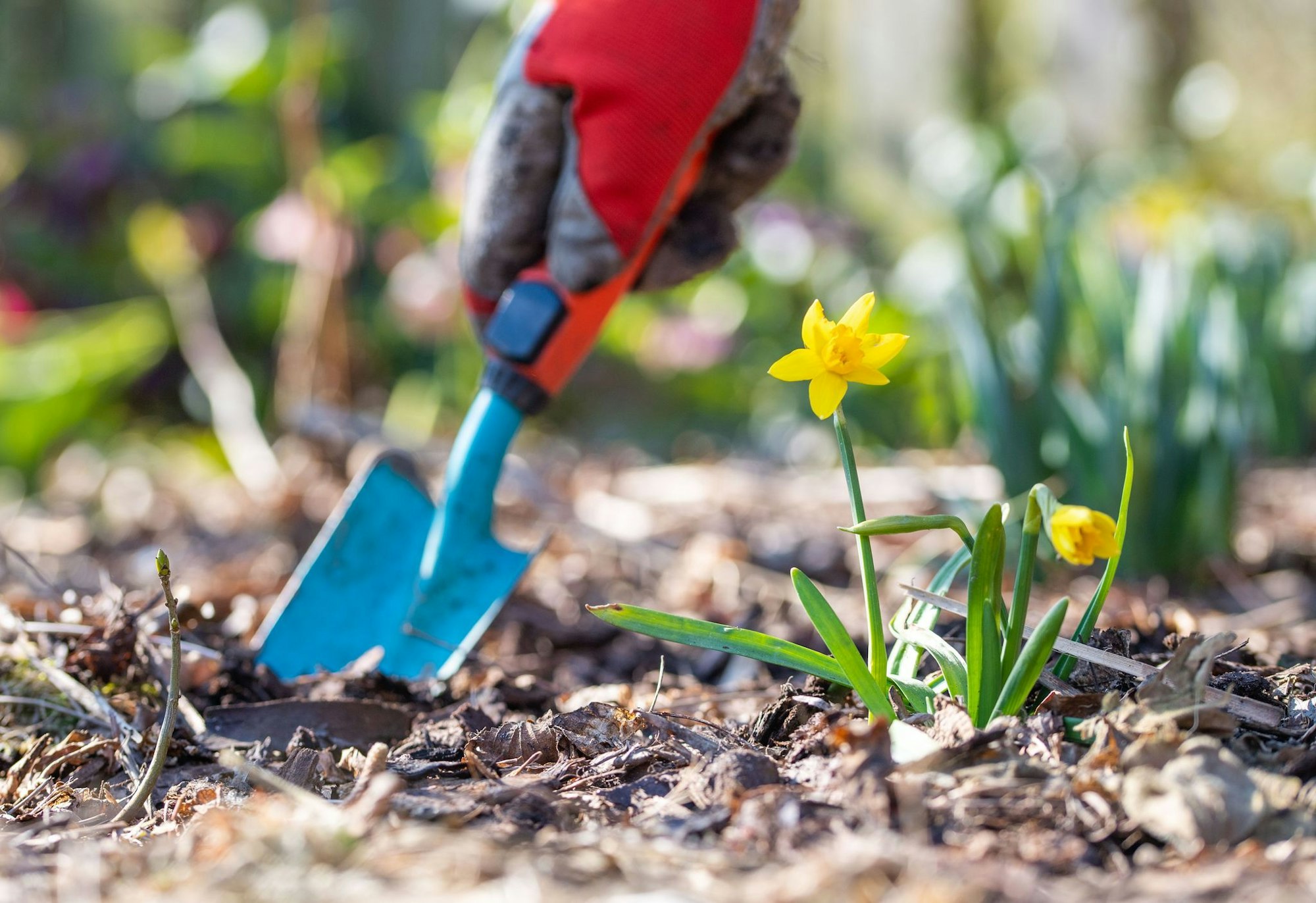 Tipps zur Zeitumstellung