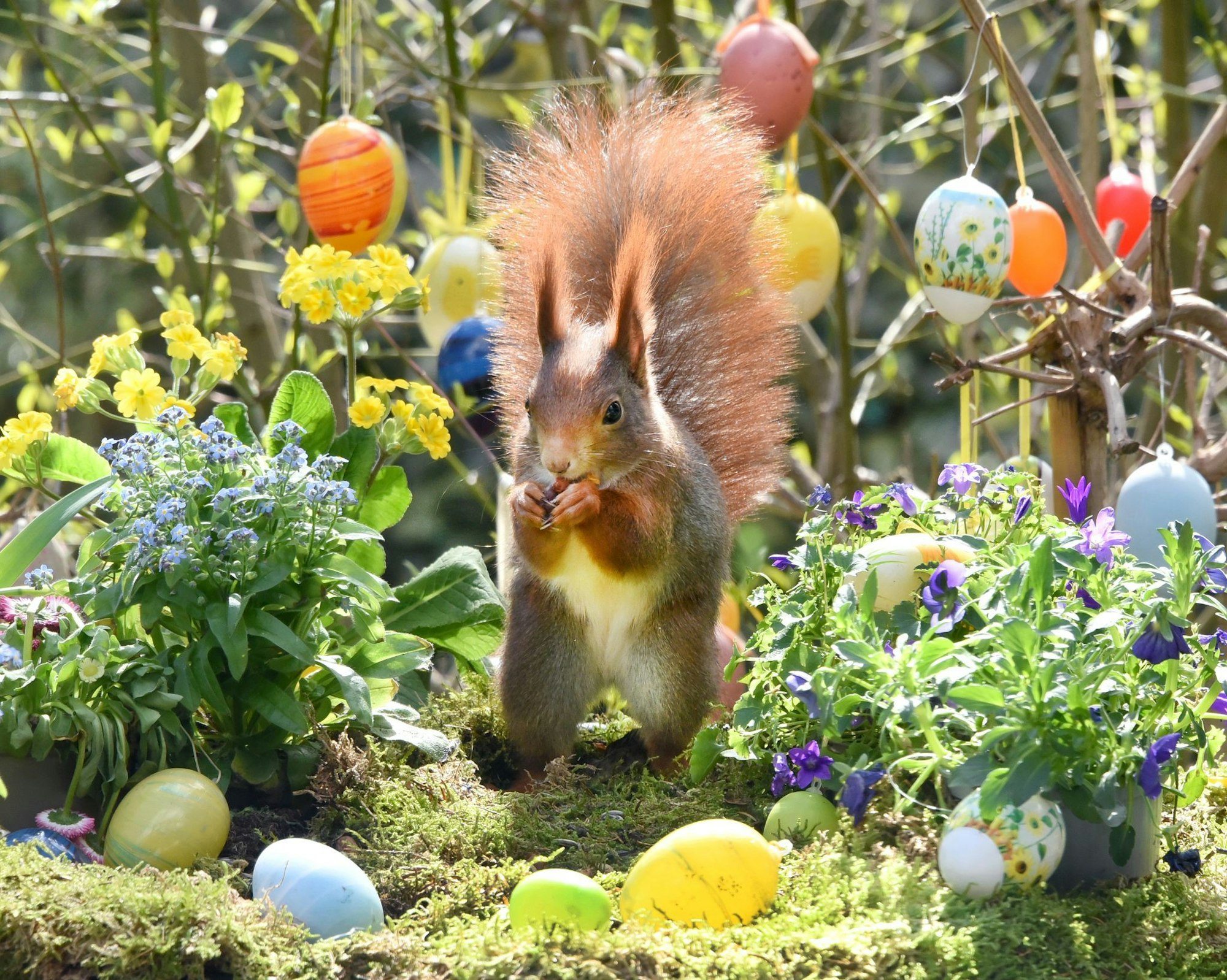 Tipps zur Zeitumstellung