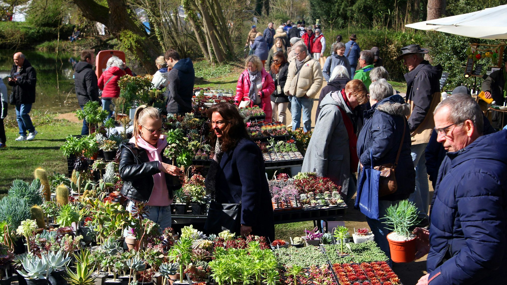 Das Foto zeigt Menschen auf einem Markt, die Pflanzen kaufen.