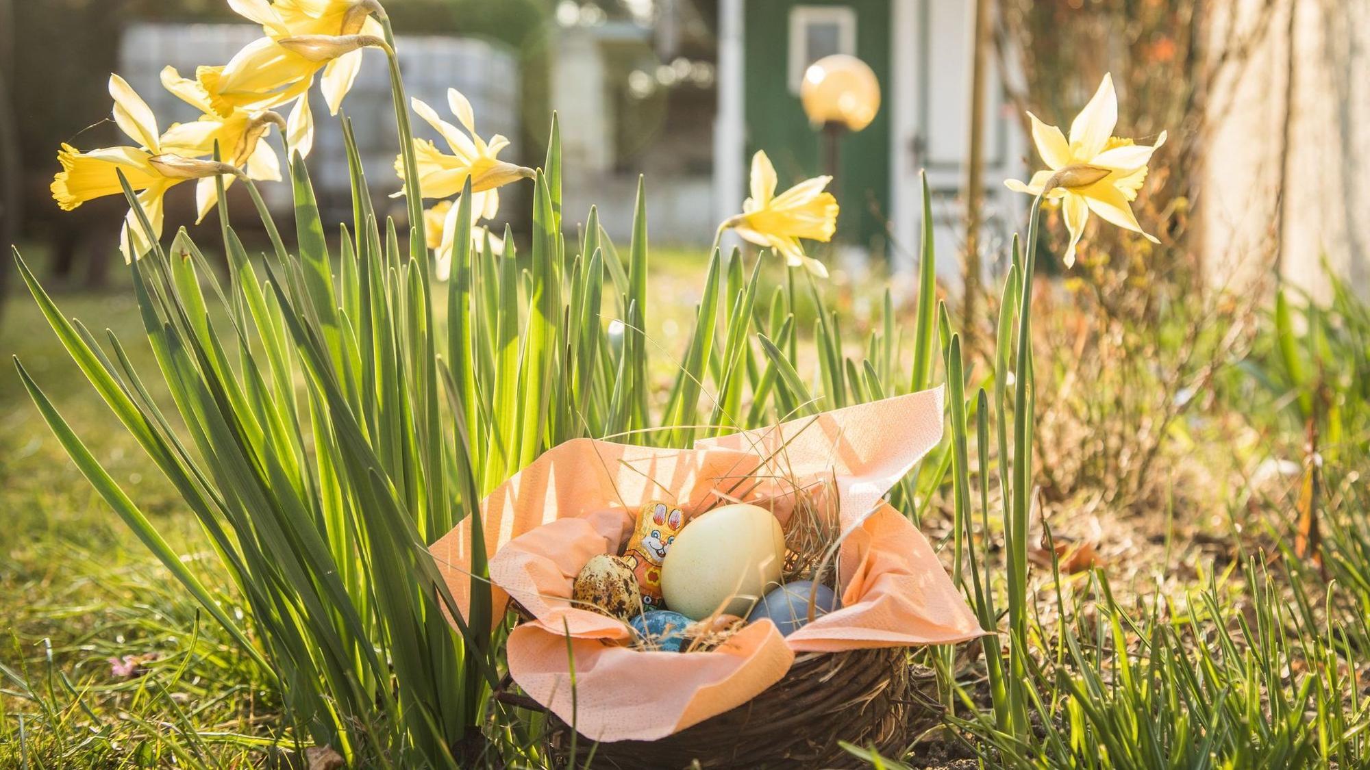 Ostereier in einem Körbchen stehen in einem Garten