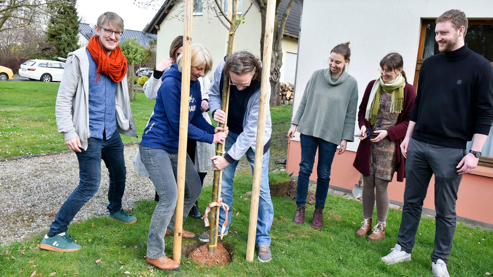 Das Foto zeigt Menschen beim Pflanzen eines Baums.