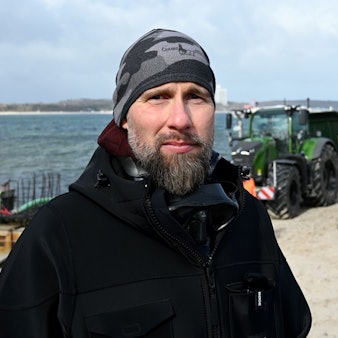 Wal an der Ostseeküste gestrandet