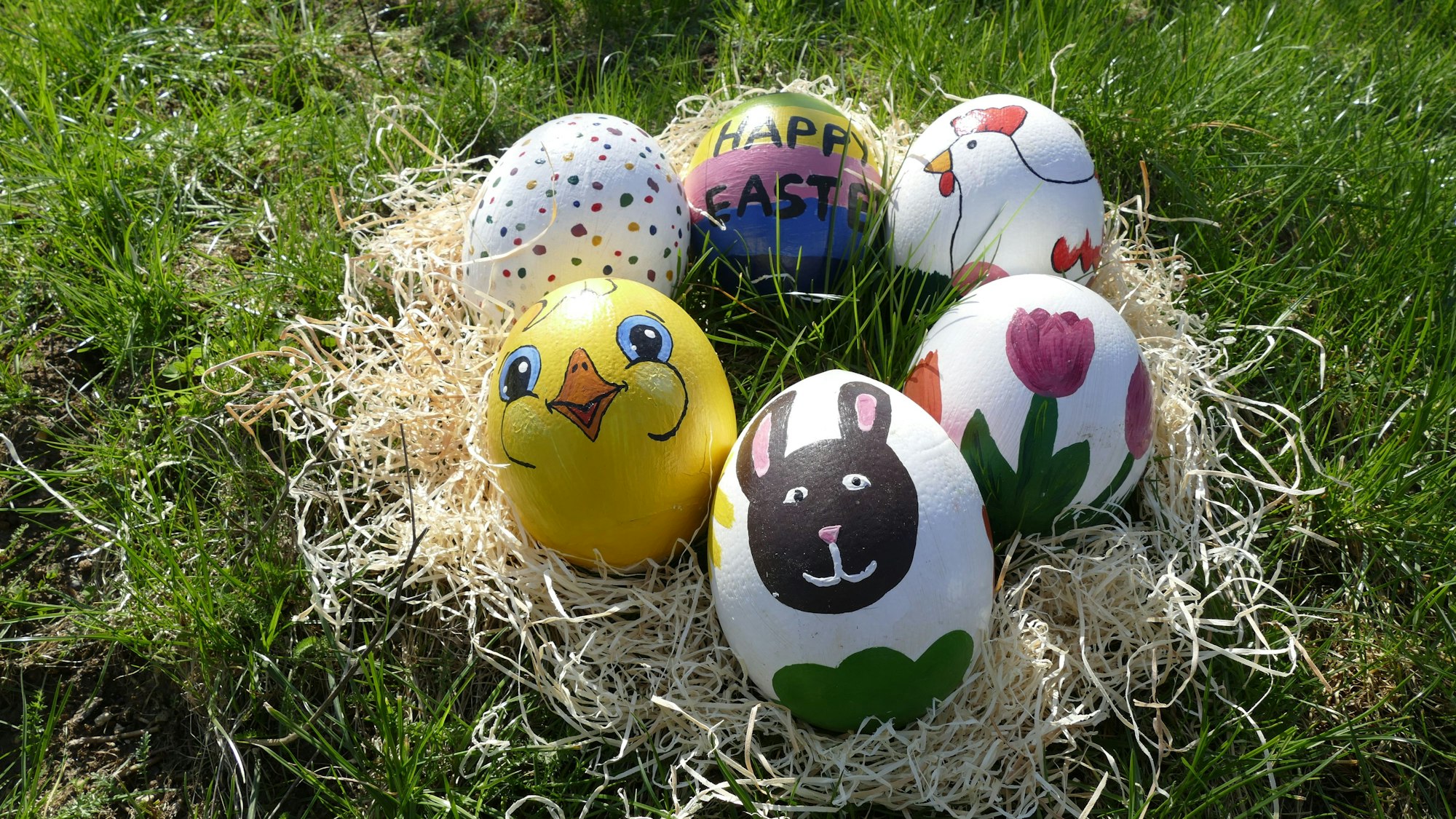 Bunt bemalte Straußeneier liegen in einem Nest auf einer grünen Wiese.