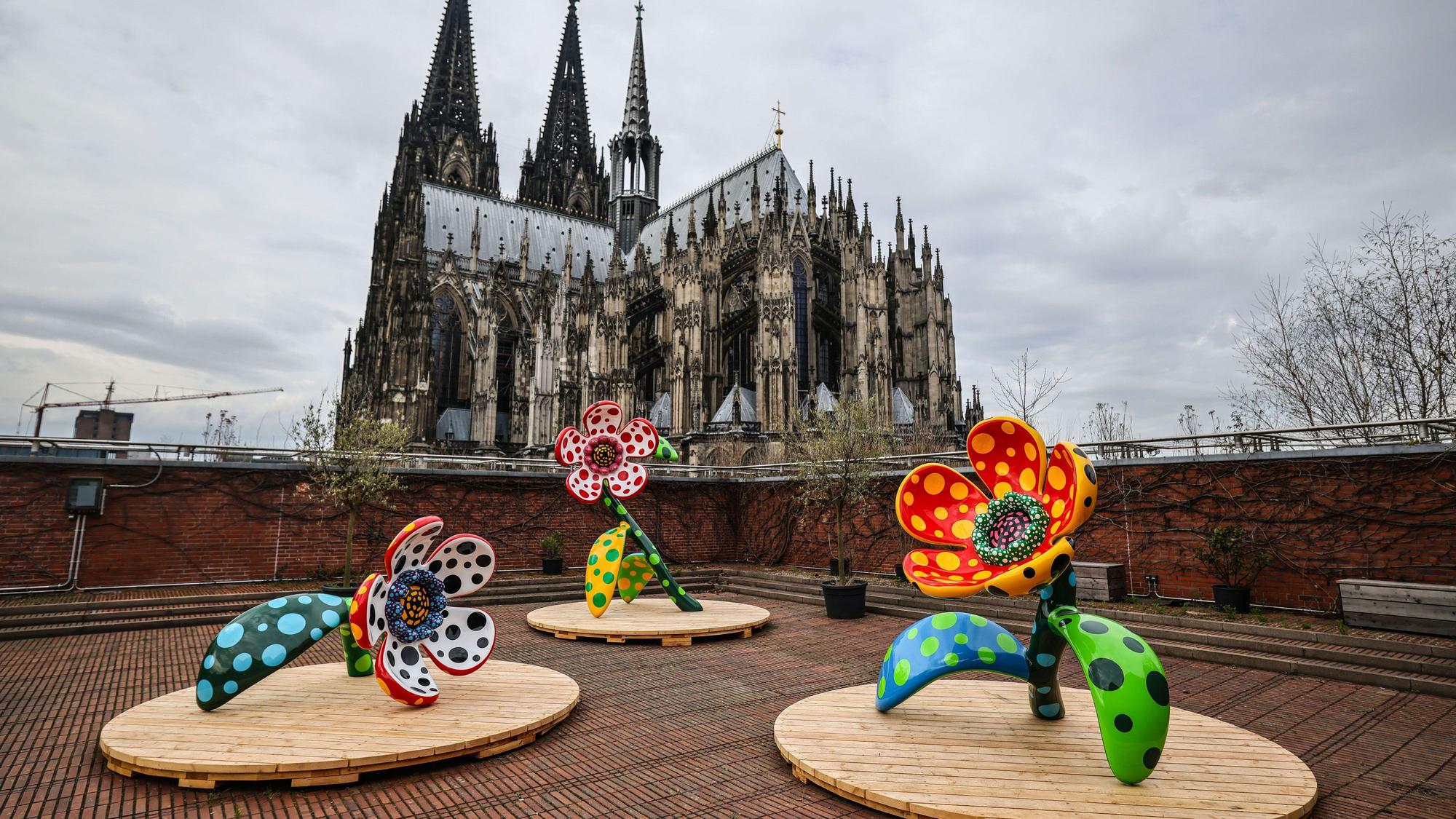 Die Installation „I Spend Each Day Embracing Flowers“ von Yayoi Kusama steht auf der Dachterrasse des Museum Ludwig vor dem Dom.