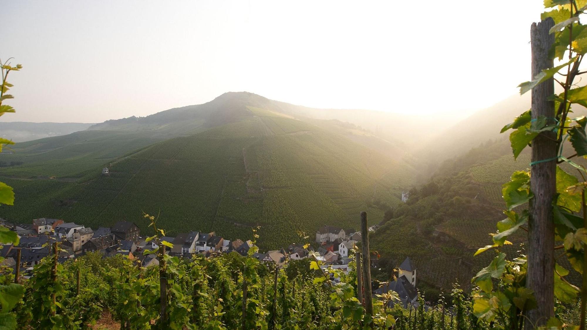 Bernkasteler Doctorberg, legendäre Weinlage an der Mosel