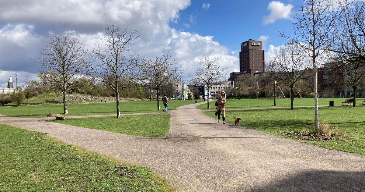 Beschluss der BV Innenstadt: Neue Freilauffläche für Hunde im August-Sander-Park