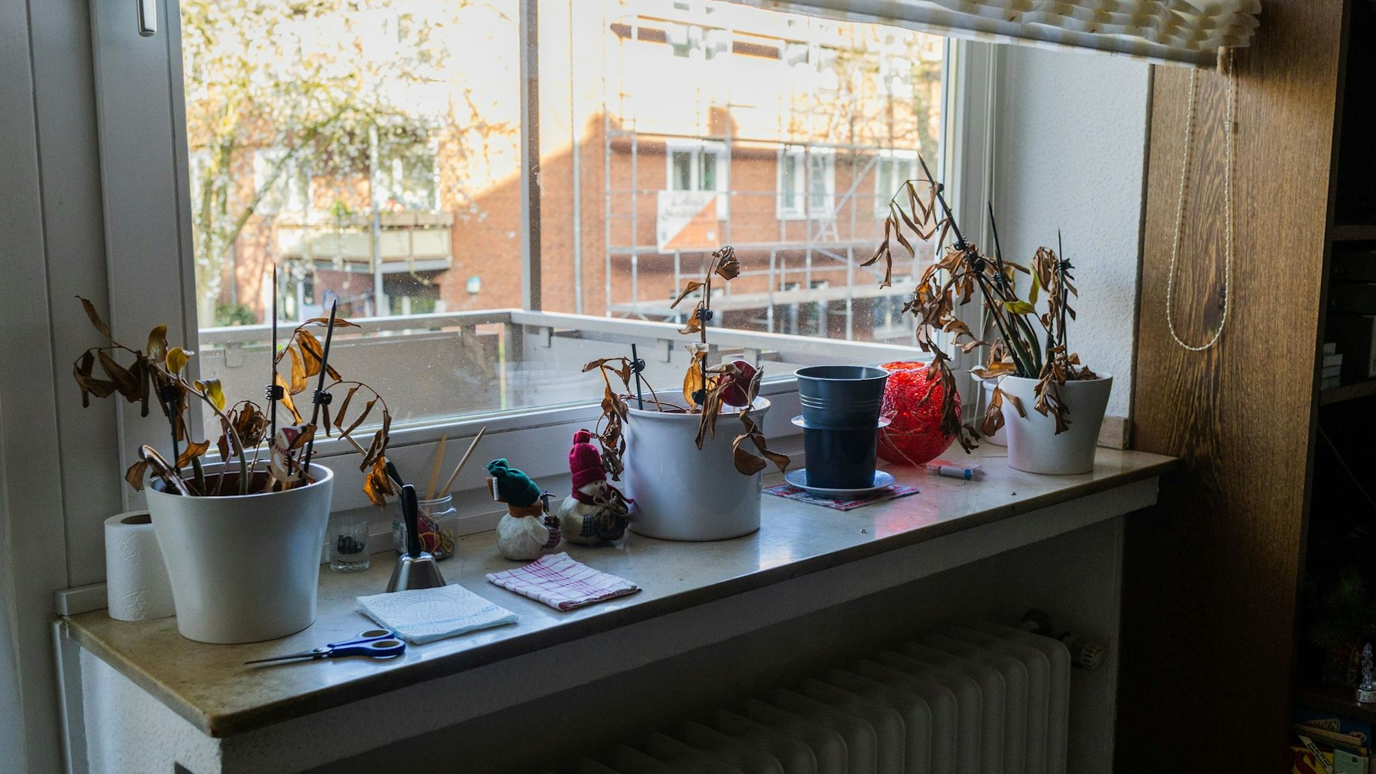 Eine Fensterbank mit vertrockneten Blumen und Weihnachtsdekoration.