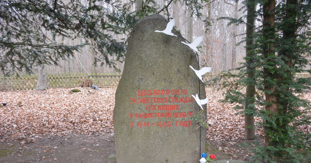 Das Massaker im Gremberger Wäldchen: Wie Nachbarn zu Mördern werden