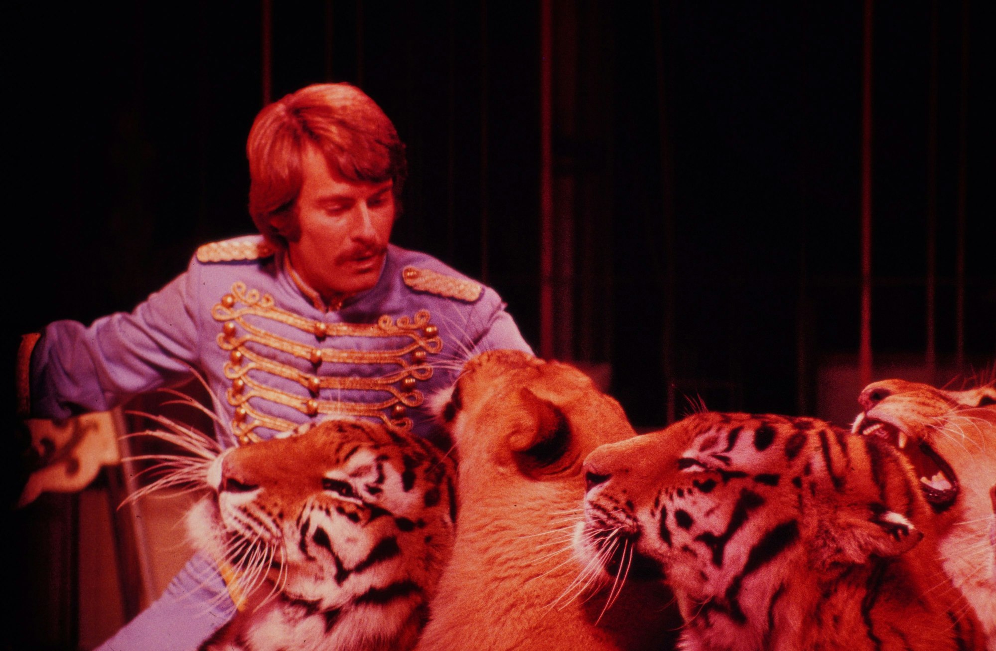 Raubtier-Dompteur René Strickler mit seinen Raubtieren. Die gibt es bei Roncalli allerdings seit Mitte der 90er-Jahre nicht mehr zu sehen. Die letzten Tiere waren Pferde und Hunde. Seit 2018 verzichtet Roncalli gänzlich auf Tiere.