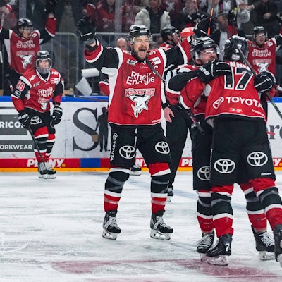 Die Spieler der Kölner Haie freuen sich gemeinsam auf dem Eis.
