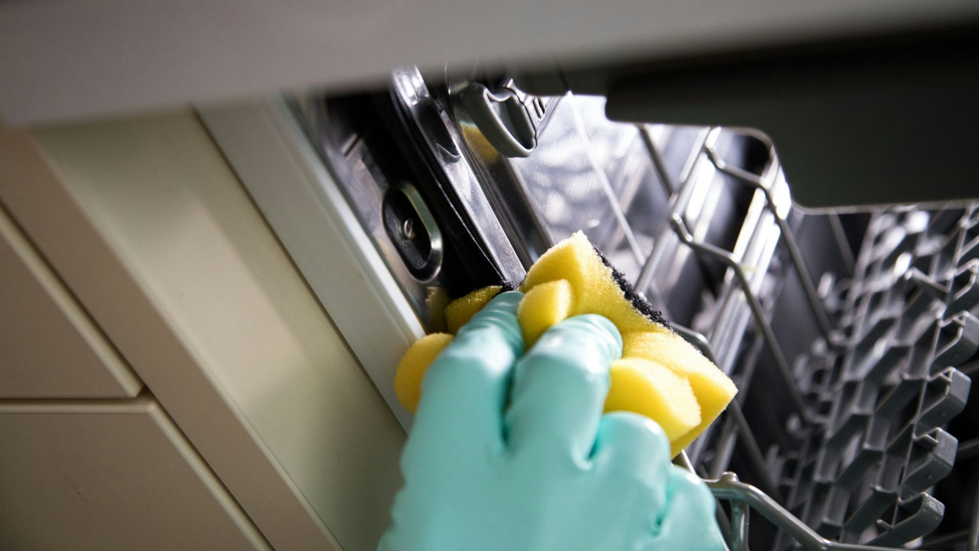 Regelmäßige Reinigung nicht vergessen: Die Gummidichtungen, das Sieb, und die schwer zugänglichen Bereiche der Spülmaschine sollten regelmäßig gereinigt werden.