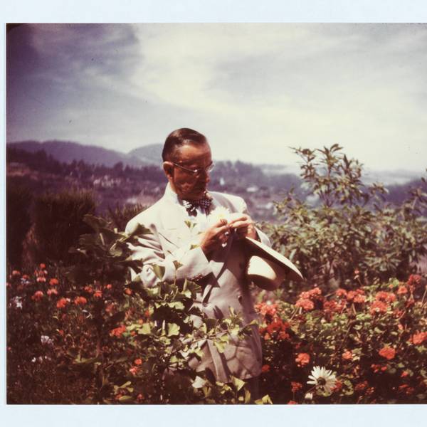 HANDOUT - Der deutsche Schriftsteller Thomas Mann steht in Blumenbüschen im Stadtteil Pacific Palisades mit Brille und Hut in den Händen und steckt sich eine Margerite an sein Sakko (etwa Jahr 1946). (zu dpa: «Autor und Aktivist - 150 Jahre Thomas Mann») +++ dpa-Bildfunk +++