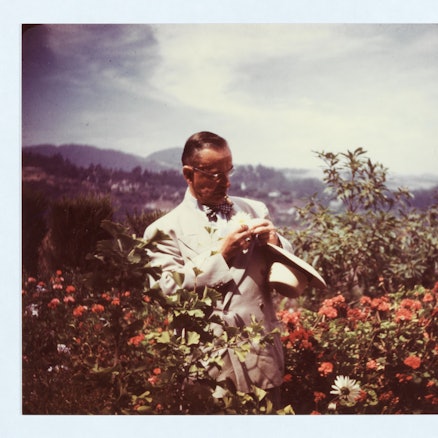 HANDOUT - Der deutsche Schriftsteller Thomas Mann steht in Blumenbüschen im Stadtteil Pacific Palisades mit Brille und Hut in den Händen und steckt sich eine Margerite an sein Sakko (etwa Jahr 1946). (zu dpa: «Autor und Aktivist - 150 Jahre Thomas Mann») +++ dpa-Bildfunk +++