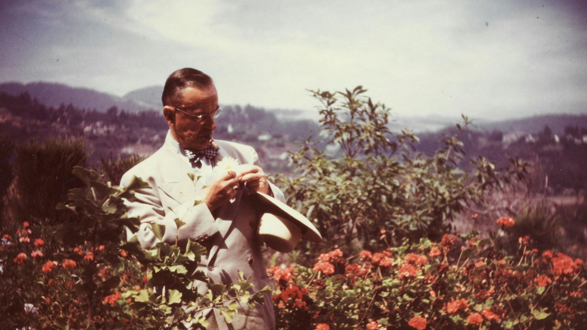 HANDOUT - Der deutsche Schriftsteller Thomas Mann steht in Blumenbüschen im Stadtteil Pacific Palisades mit Brille und Hut in den Händen und steckt sich eine Margerite an sein Sakko (etwa Jahr 1946). (zu dpa: «Autor und Aktivist - 150 Jahre Thomas Mann») +++ dpa-Bildfunk +++
